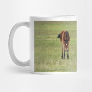 Wildlife gifts, wild horses, Eastern Sierra, California Mug